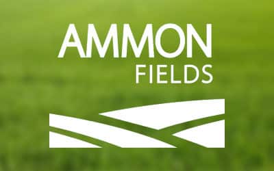 Ammon Fields