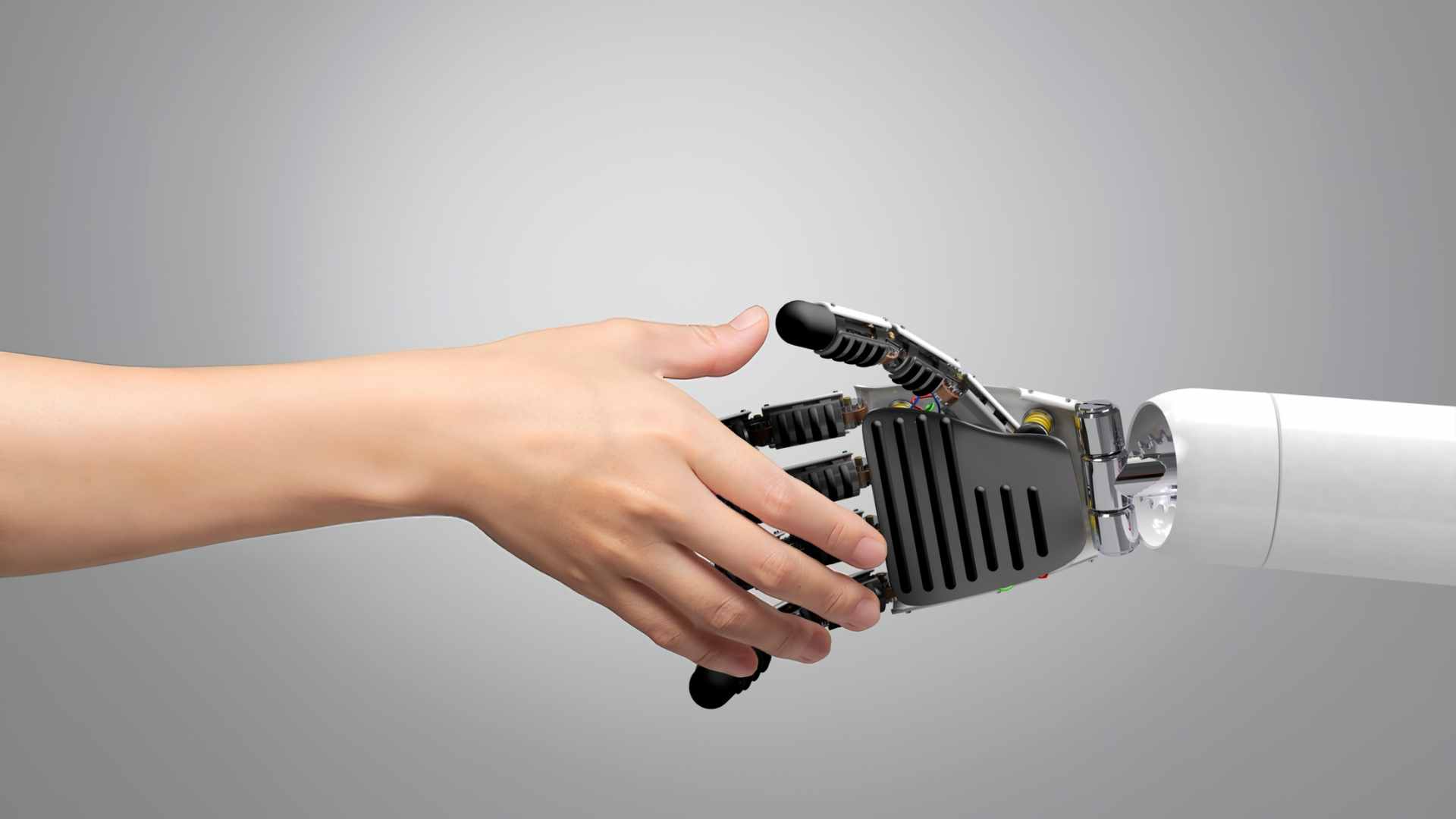 human bias in AI models featured image human bias in AI models featured image